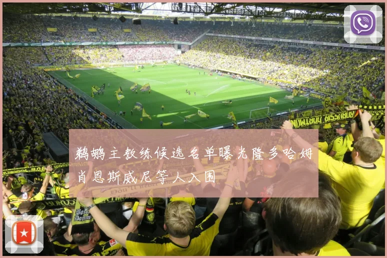 鹈鹕主教练候选名单曝光隆多哈姆肖恩斯威尼等人入围